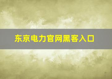 东京电力官网黑客入口