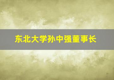 东北大学孙中强董事长