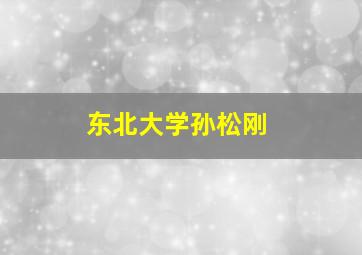 东北大学孙松刚