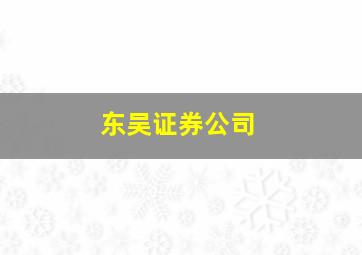 东吴证券公司