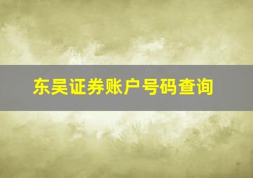 东吴证券账户号码查询