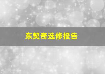 东契奇选修报告