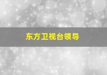 东方卫视台领导