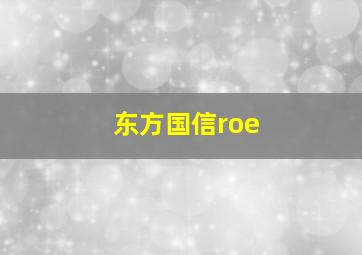 东方国信roe