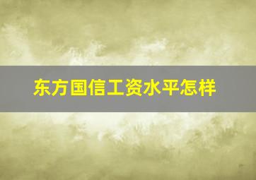 东方国信工资水平怎样