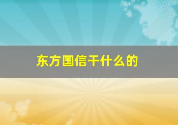 东方国信干什么的