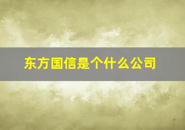 东方国信是个什么公司