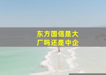 东方国信是大厂吗还是中企