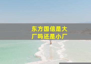 东方国信是大厂吗还是小厂