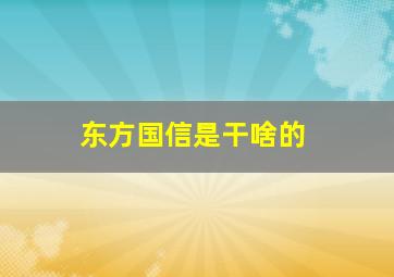 东方国信是干啥的