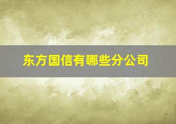 东方国信有哪些分公司