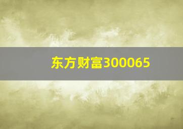 东方财富300065