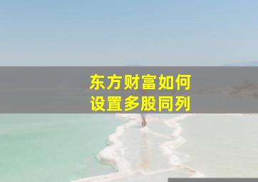 东方财富如何设置多股同列