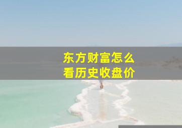 东方财富怎么看历史收盘价