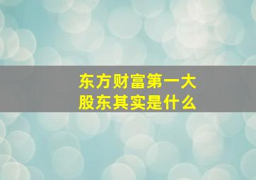 东方财富第一大股东其实是什么