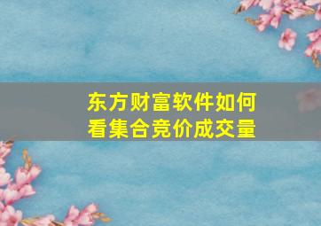 东方财富软件如何看集合竞价成交量