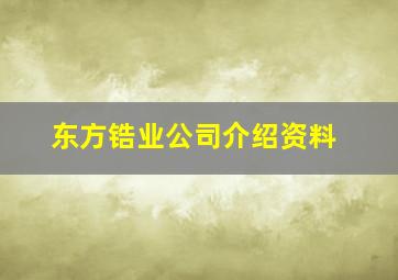 东方锆业公司介绍资料