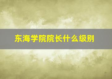 东海学院院长什么级别