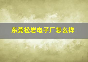 东莞松岩电子厂怎么样