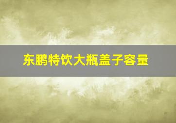 东鹏特饮大瓶盖子容量