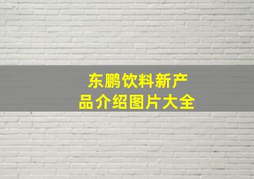 东鹏饮料新产品介绍图片大全