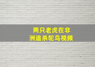 两只老虎在非洲追杀鸵鸟视频