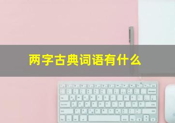 两字古典词语有什么