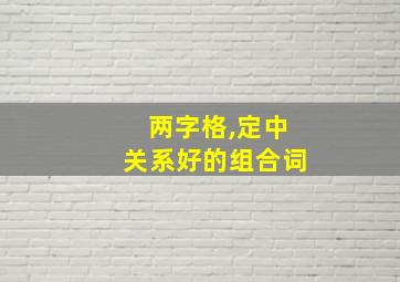 两字格,定中关系好的组合词