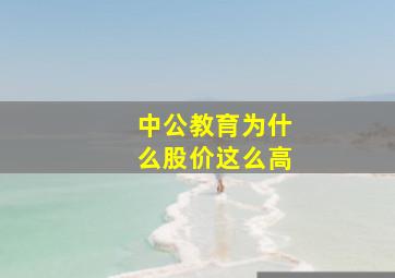 中公教育为什么股价这么高