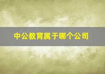 中公教育属于哪个公司