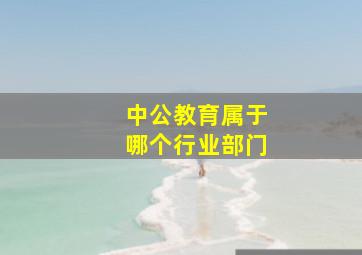 中公教育属于哪个行业部门