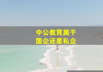 中公教育属于国企还是私企