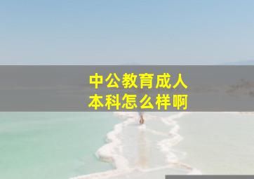 中公教育成人本科怎么样啊