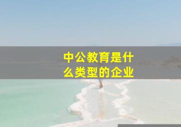 中公教育是什么类型的企业