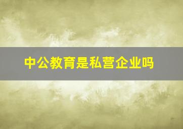 中公教育是私营企业吗