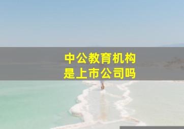 中公教育机构是上市公司吗