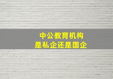 中公教育机构是私企还是国企