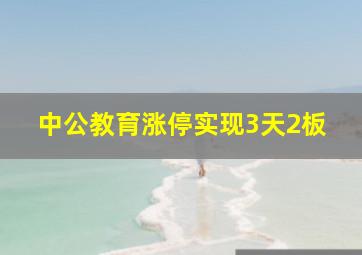 中公教育涨停实现3天2板