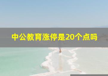 中公教育涨停是20个点吗