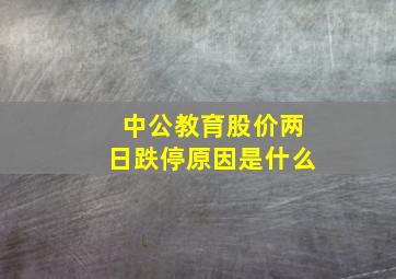 中公教育股价两日跌停原因是什么