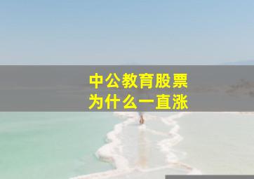 中公教育股票为什么一直涨