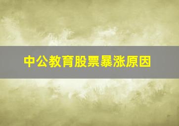 中公教育股票暴涨原因