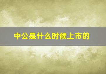 中公是什么时候上市的