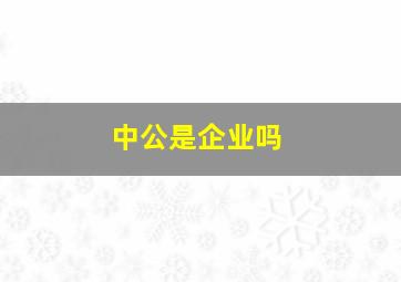 中公是企业吗