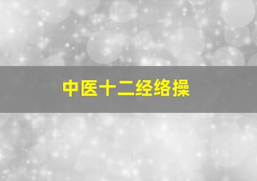 中医十二经络操