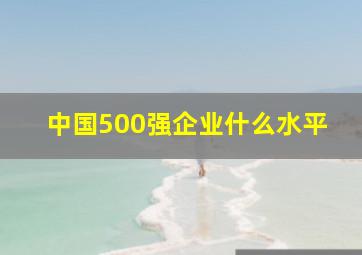 中国500强企业什么水平