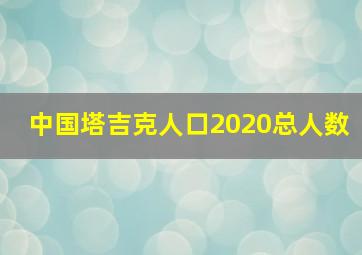 中国塔吉克人口2020总人数