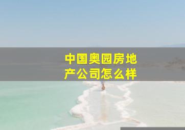 中国奥园房地产公司怎么样