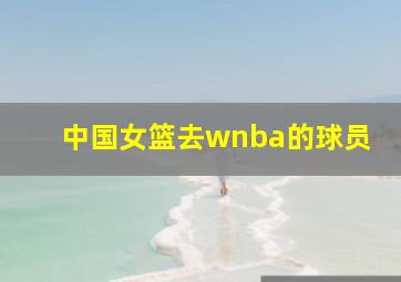 中国女篮去wnba的球员