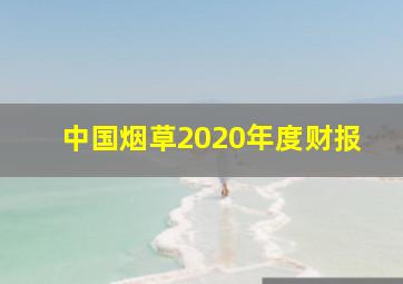 中国烟草2020年度财报